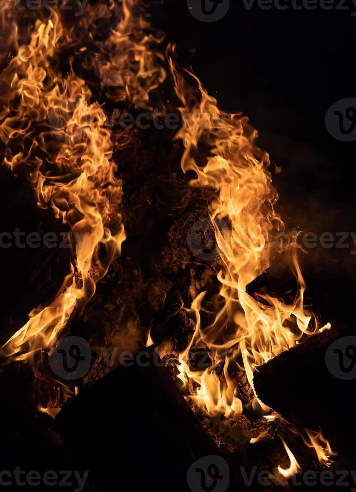 Fire flames on a black background photo