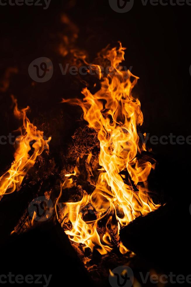 Fire flames on a black background photo