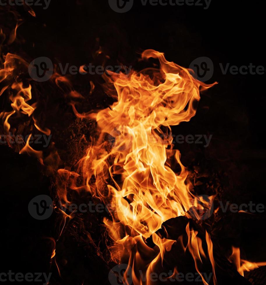 Fire flames on a black background photo