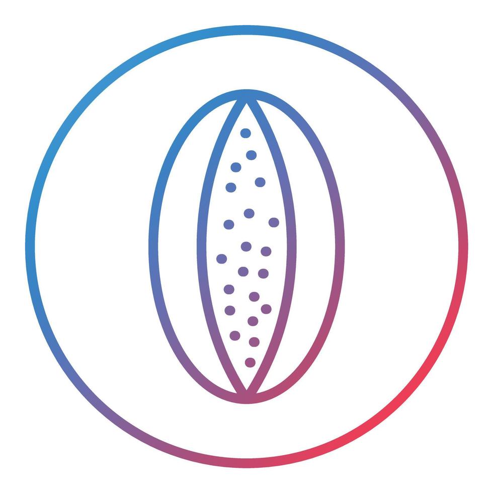 Rockmelon Line Gradient Icon vector