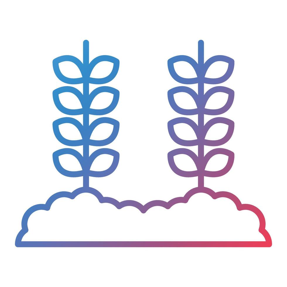 Wheat Plantation Line Gradient Icon vector