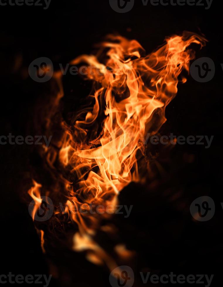 Flames of bonfire at night photo