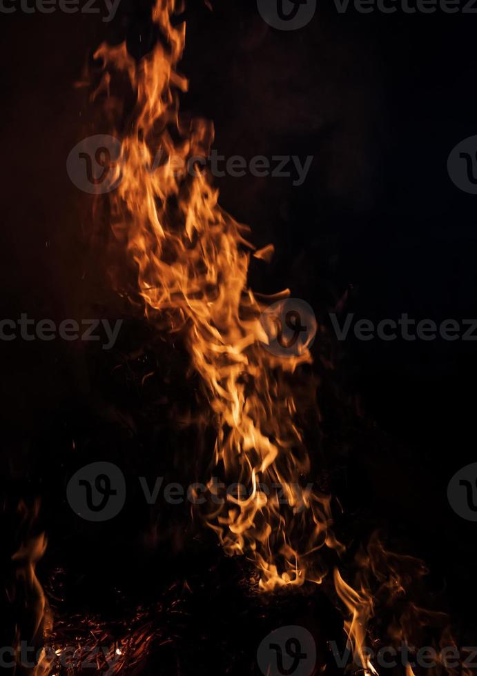 Fire flames on a black background photo