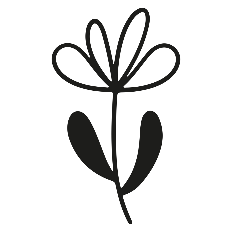 Abstract floral element shape on Transparent Background png