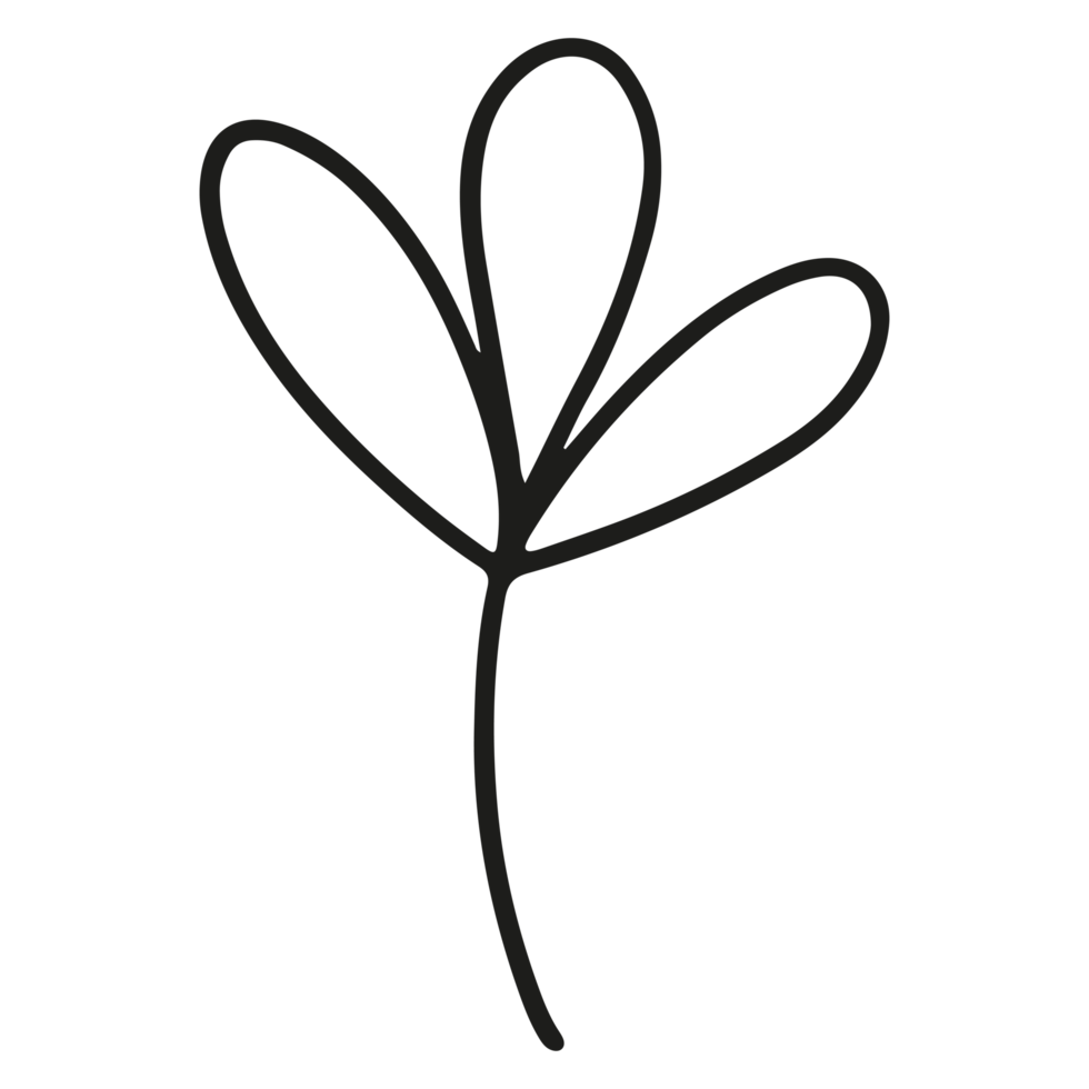 Abstract floral element shape on Transparent Background png