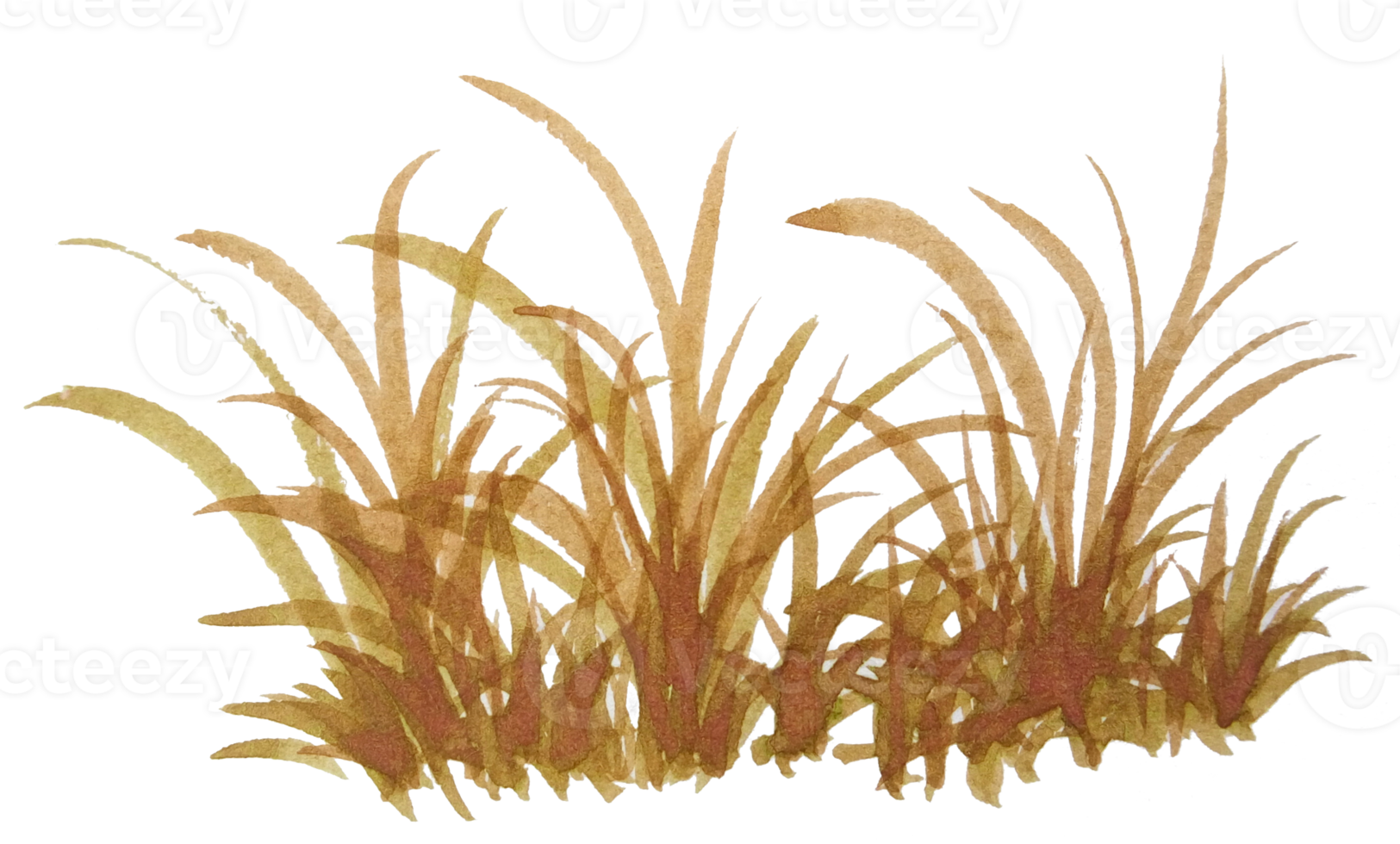 watercolor grass png