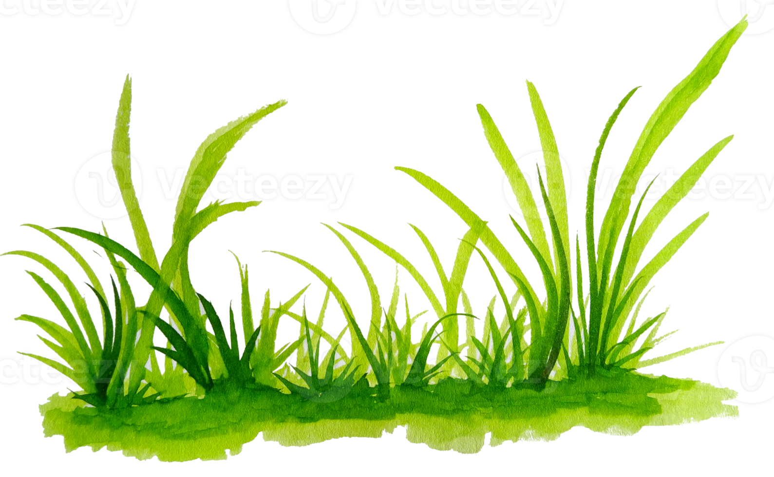 watercolor grass png