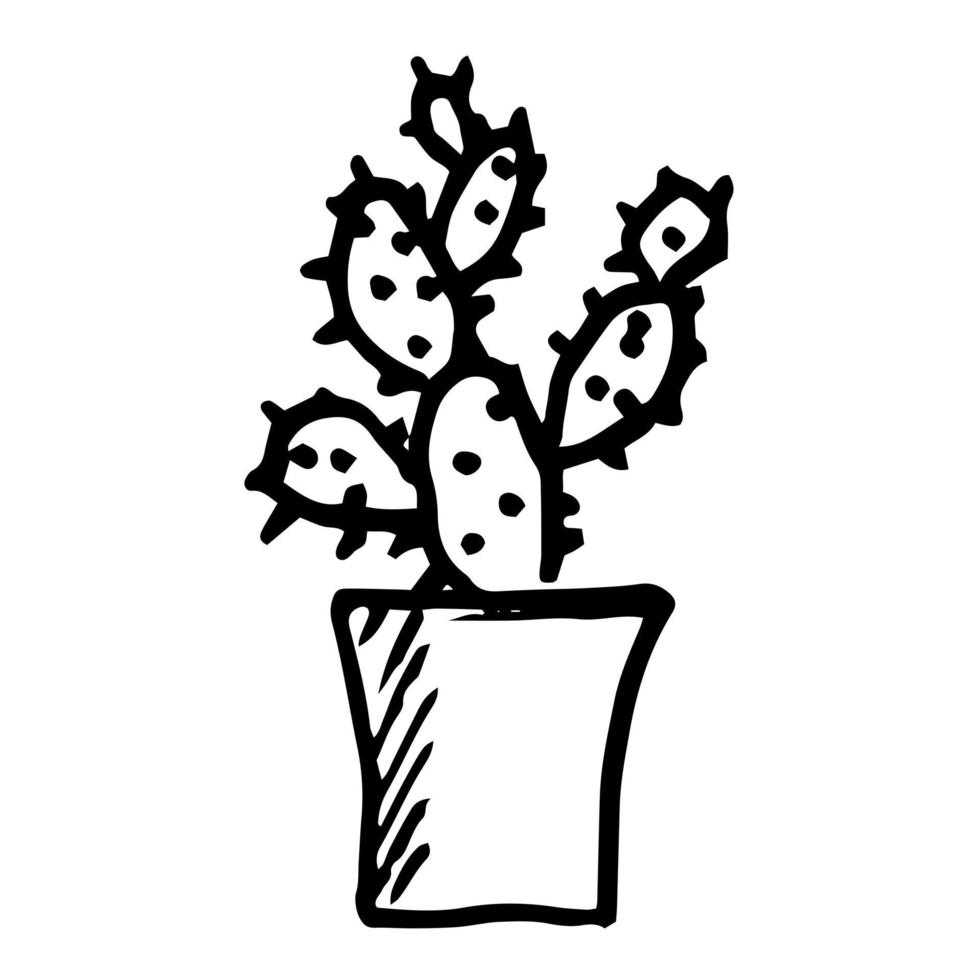 plantas de interior en macetas en jarrones con flores. estilo de dibujo. ilustración botánica. vector