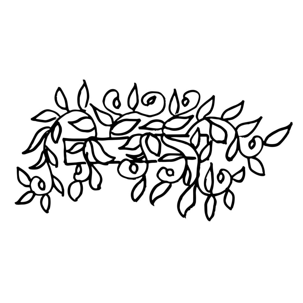 Botanical illustration.House plants in pots in vases with flowers. Doodle style. vector