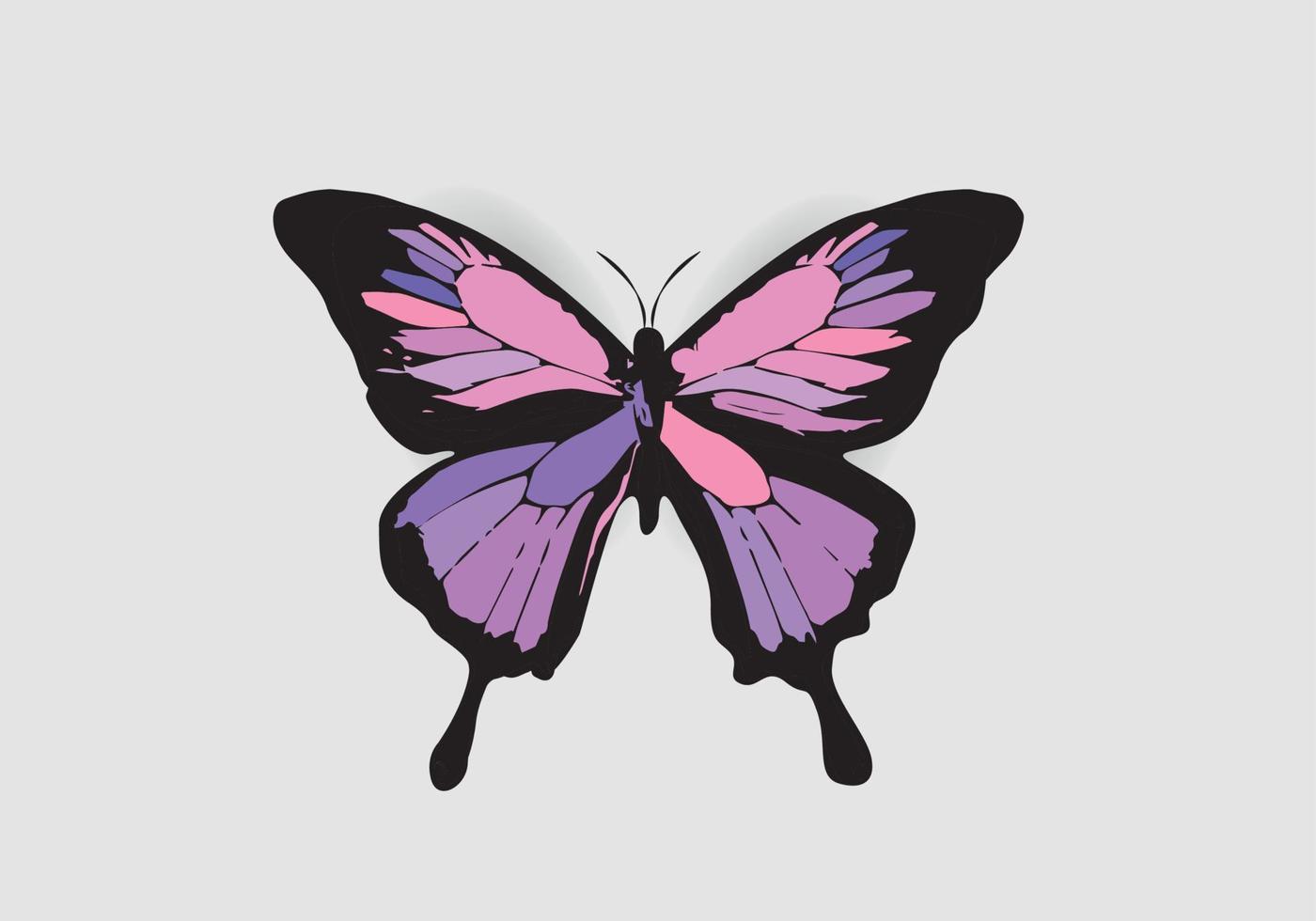 Butterfly conceptual simple, colorful icon. Logo. Vector illustration