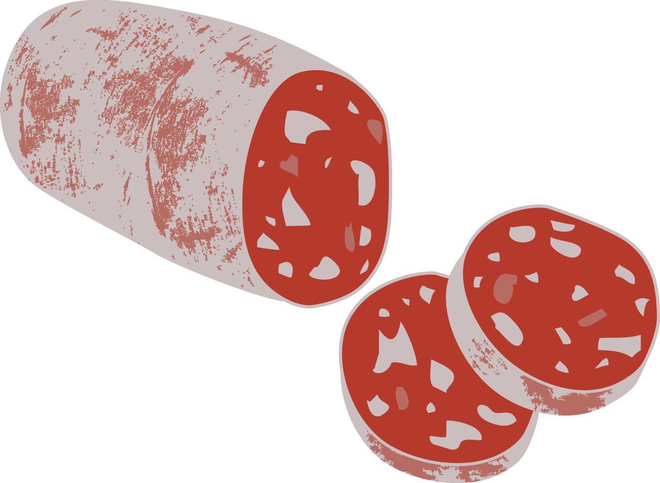 Iberian Cured Salami Sausage vector