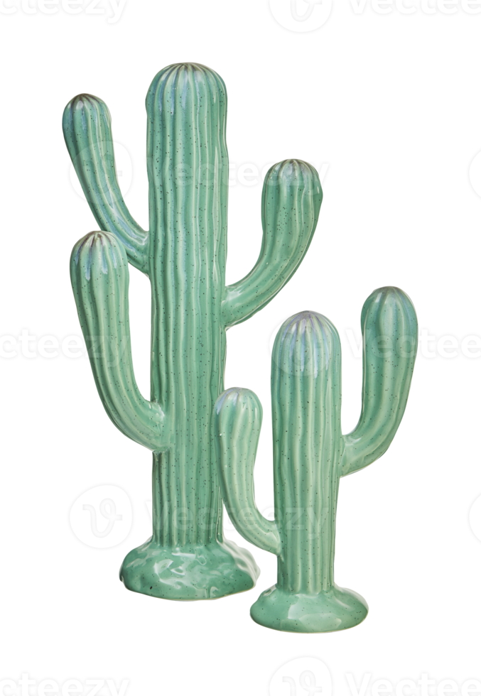 Beautiful ceramic cactus with mirror reflection isolated on white background with clipping path png