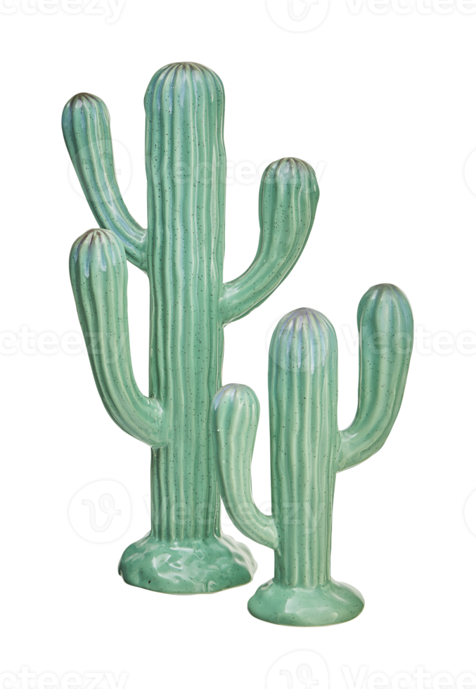 Beautiful ceramic cactus with mirror reflection isolated on white background with clipping path png