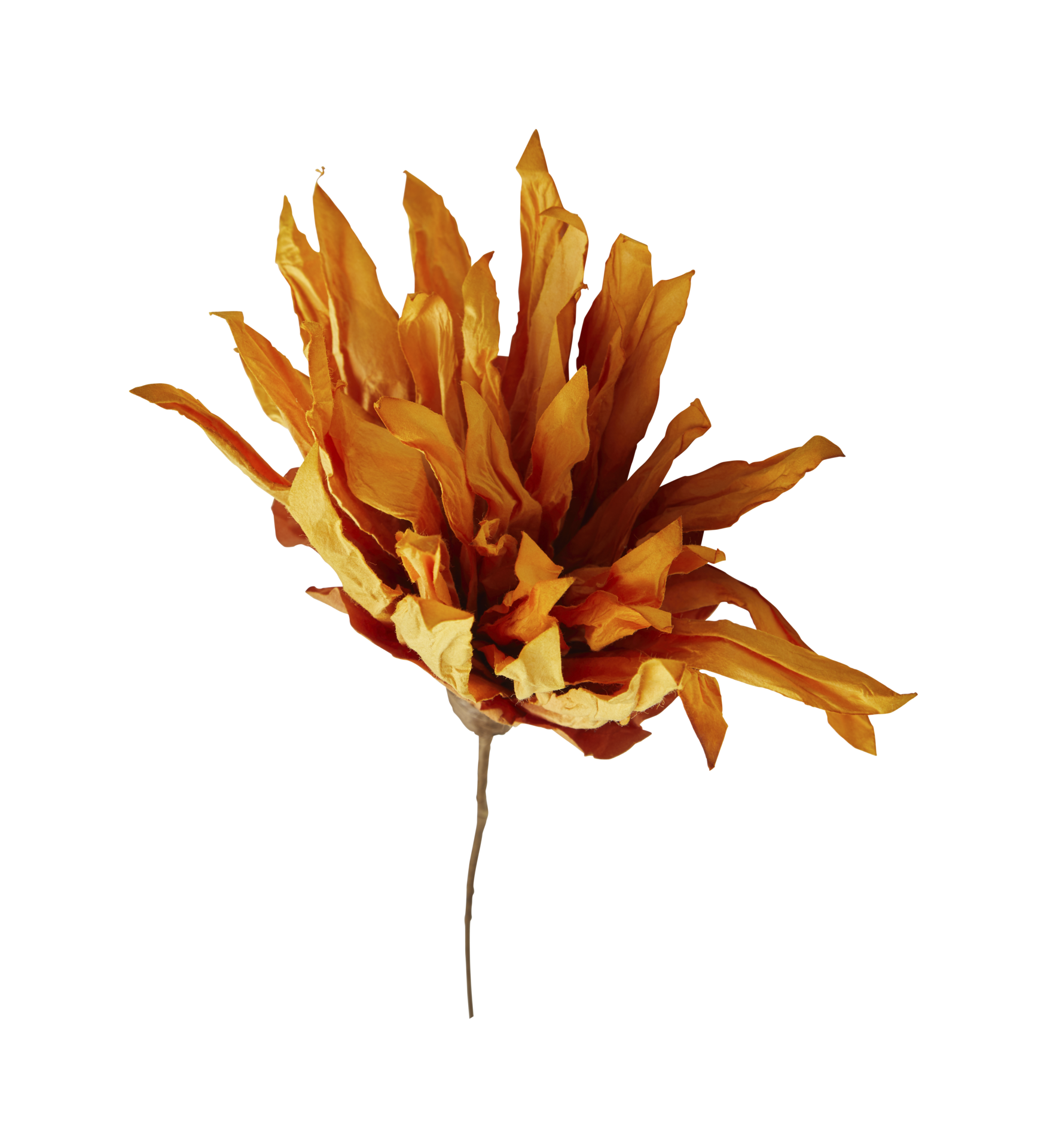 Chrysanthemum artificial dried flowers with paper save covid 19 with ...
