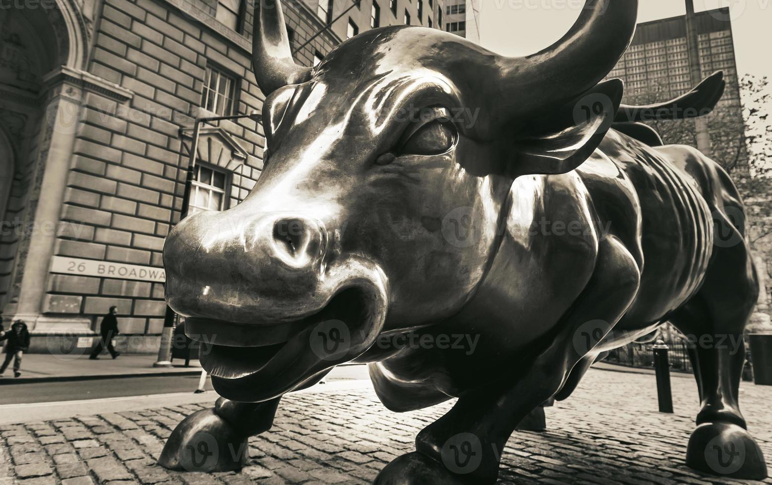 Charging Bull in the Financial District in Manhattan photo