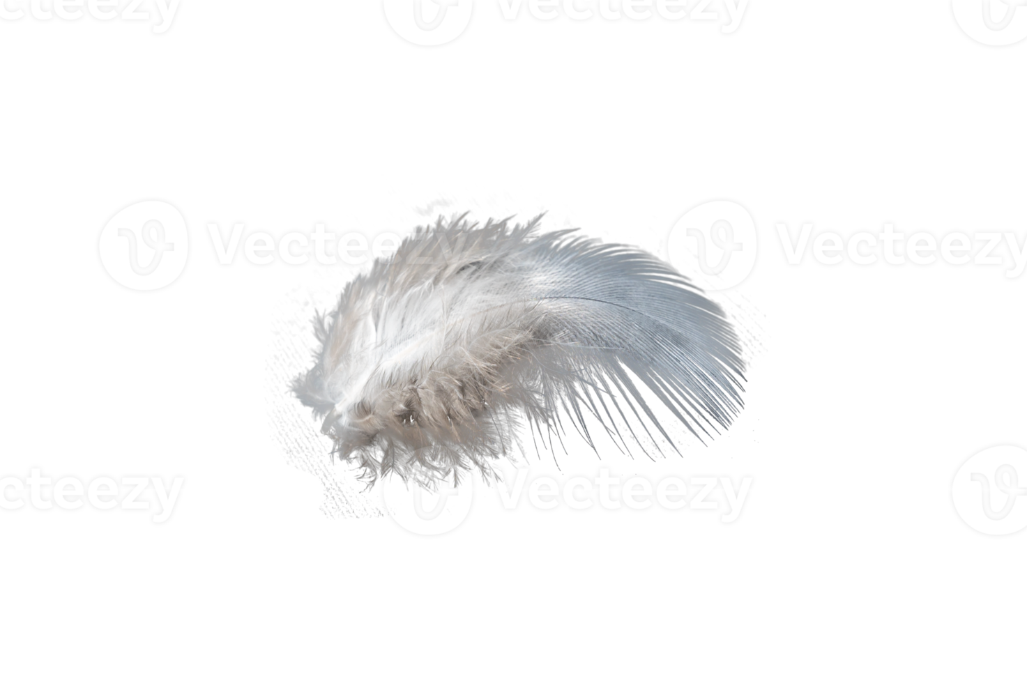 white feather isolated on transparent background PNG file