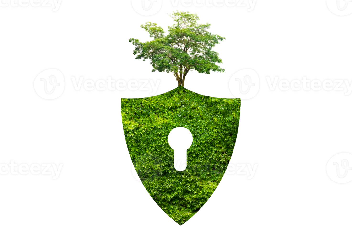 escudo verde protege a natureza e protege o meio ambiente em arquivo png de fundo transparente