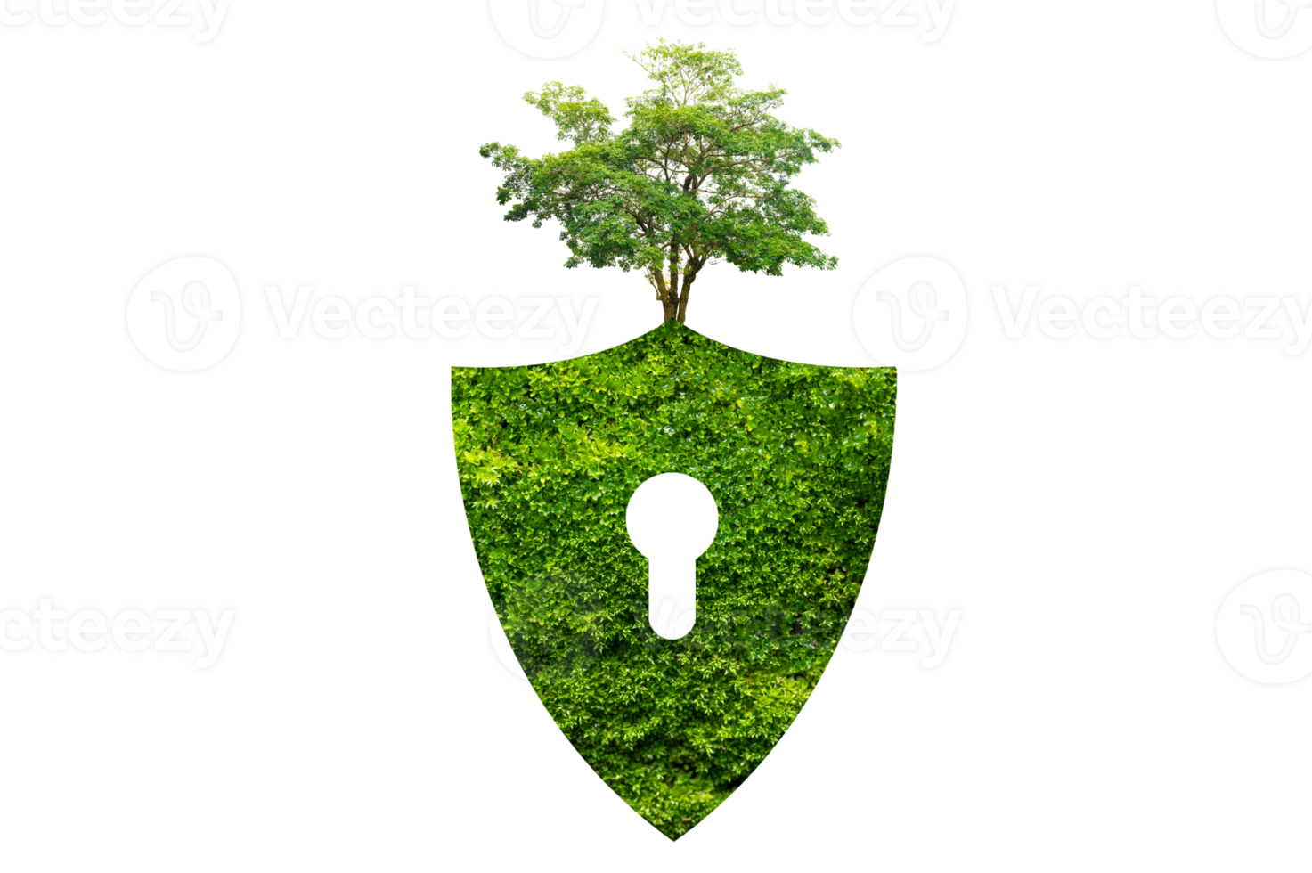 grön skydda skyddar natur och skyddar de miljö på transparent bakgrund png fil