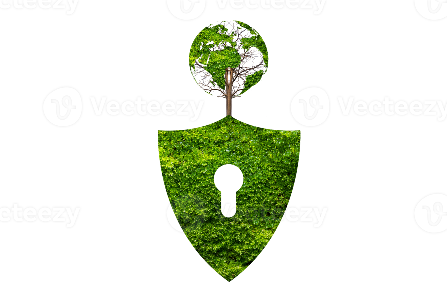 le bouclier vert protège la nature et protège l'environnement sur le fichier png de fond transparent