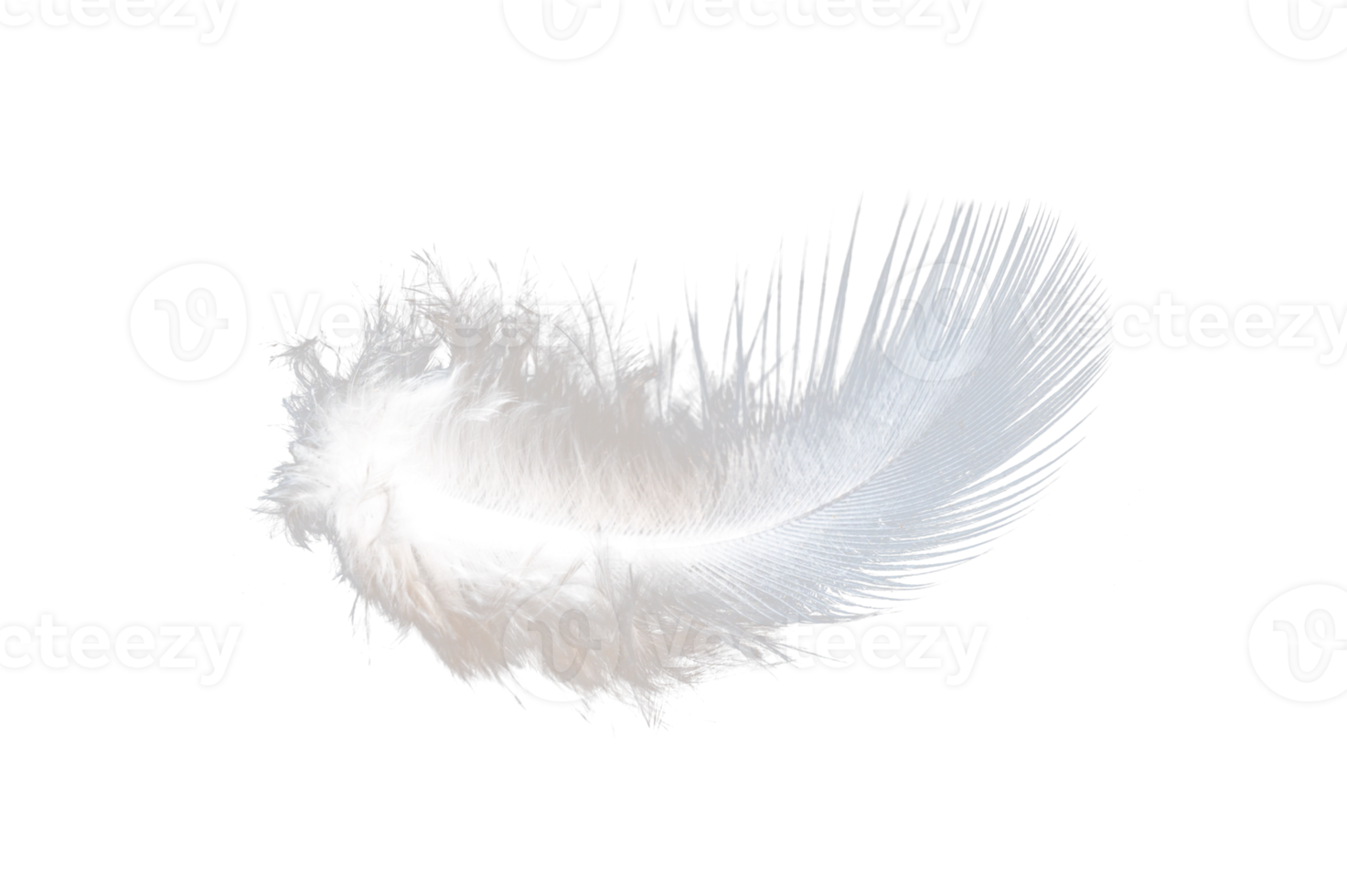 white feather isolated on transparent background PNG file