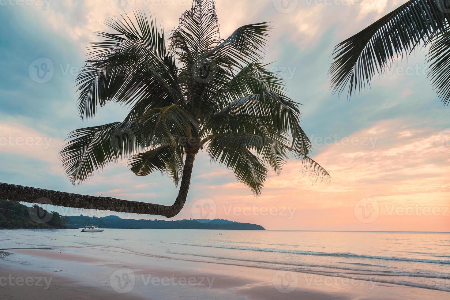 hermosa palmera en la playa en el mar tropical en verano al atardecer foto