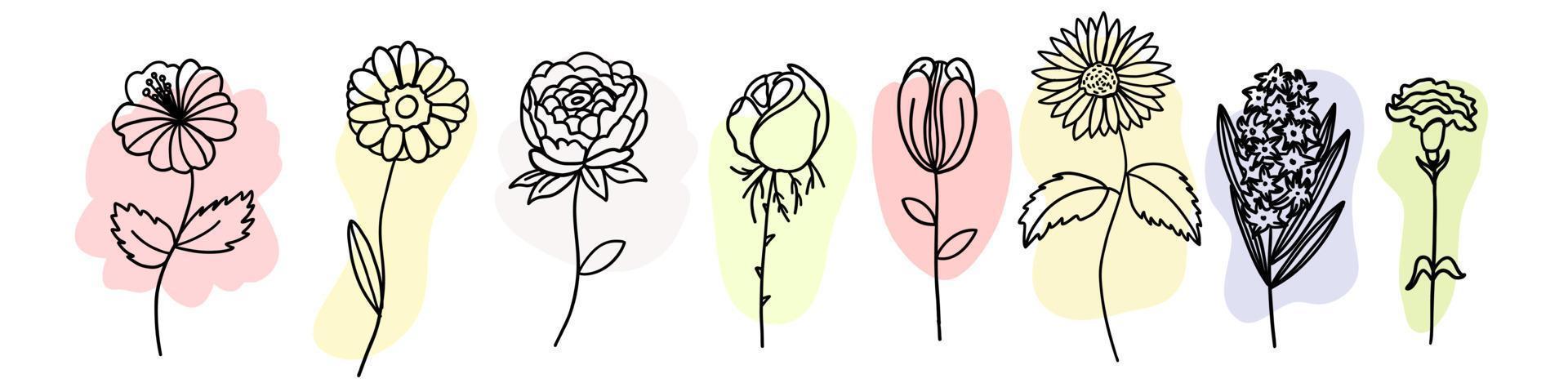 flores con pincel de colores en estilo de dibujos animados de fideos planos. conjunto de ilustración vectorial sobre fondo blanco. vector