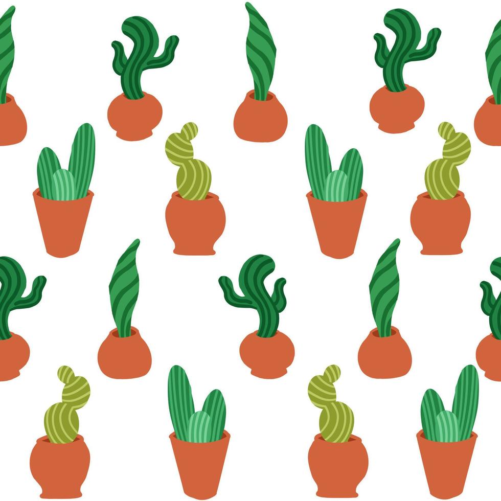 Cacti pattern. Vector illustration in cartoon flat style isolated on white background.