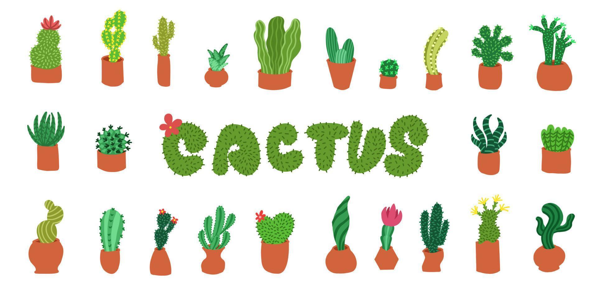 Cacti set. Vector illustrations in cartoon flat style isolated on white background.