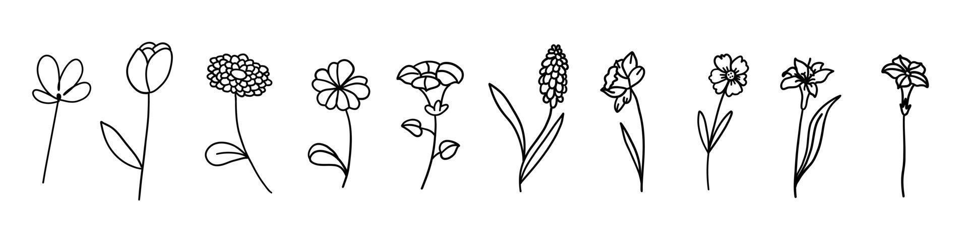 Flowers set in outline doodle flat style. Vector illustration set on white background.