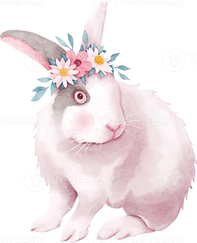 Easter bunny with daisy flowers png