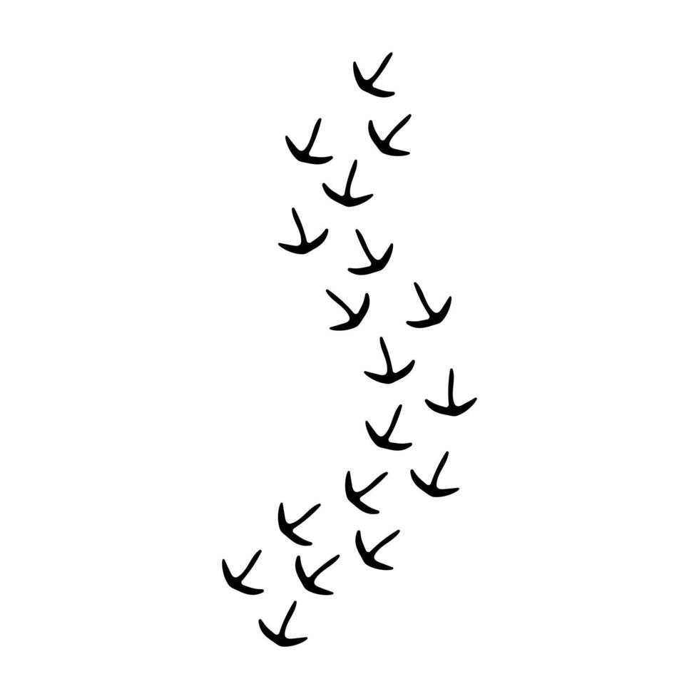 rastros de vector de icono de aves. signo de ilustración de pasos de pollo. símbolo o logotipo de huellas.