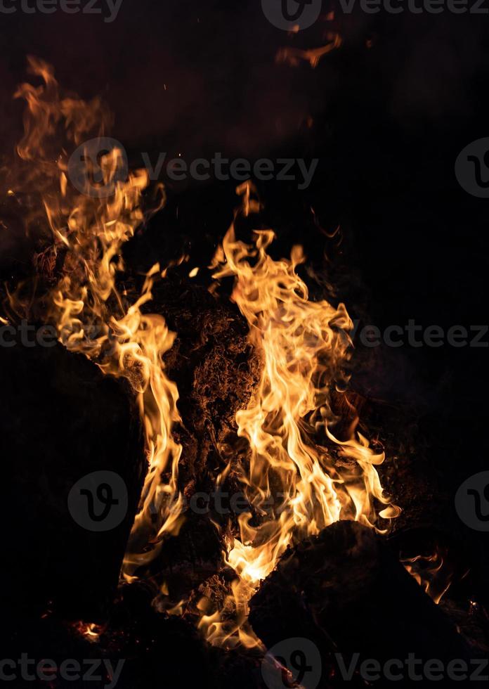 Fire flames on a black background photo