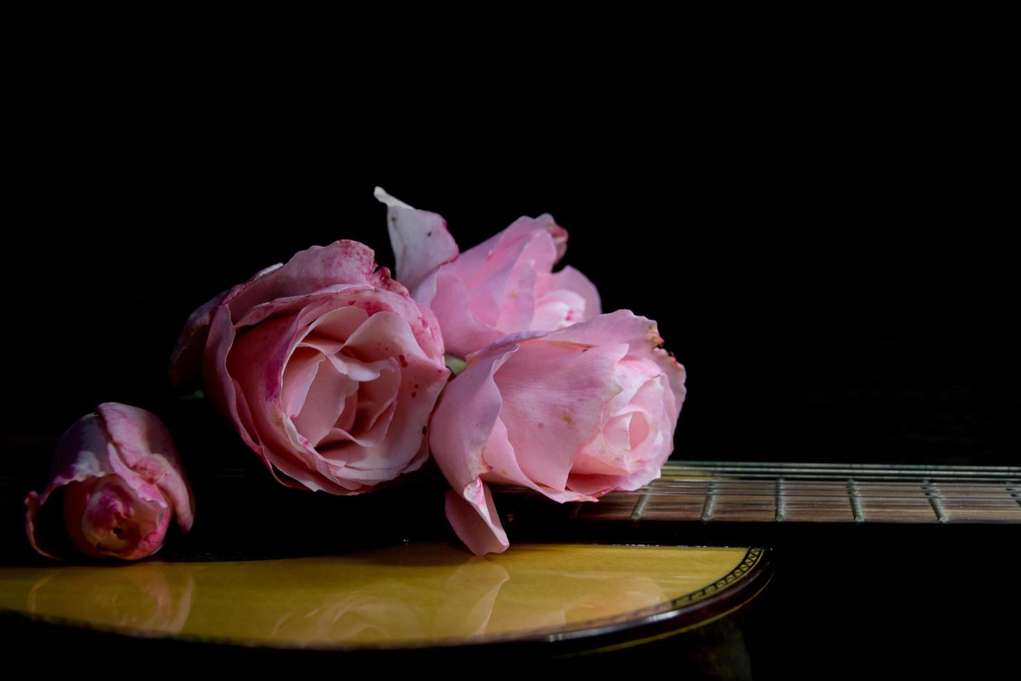 a bouquet of pink roses on the guitar strings photo