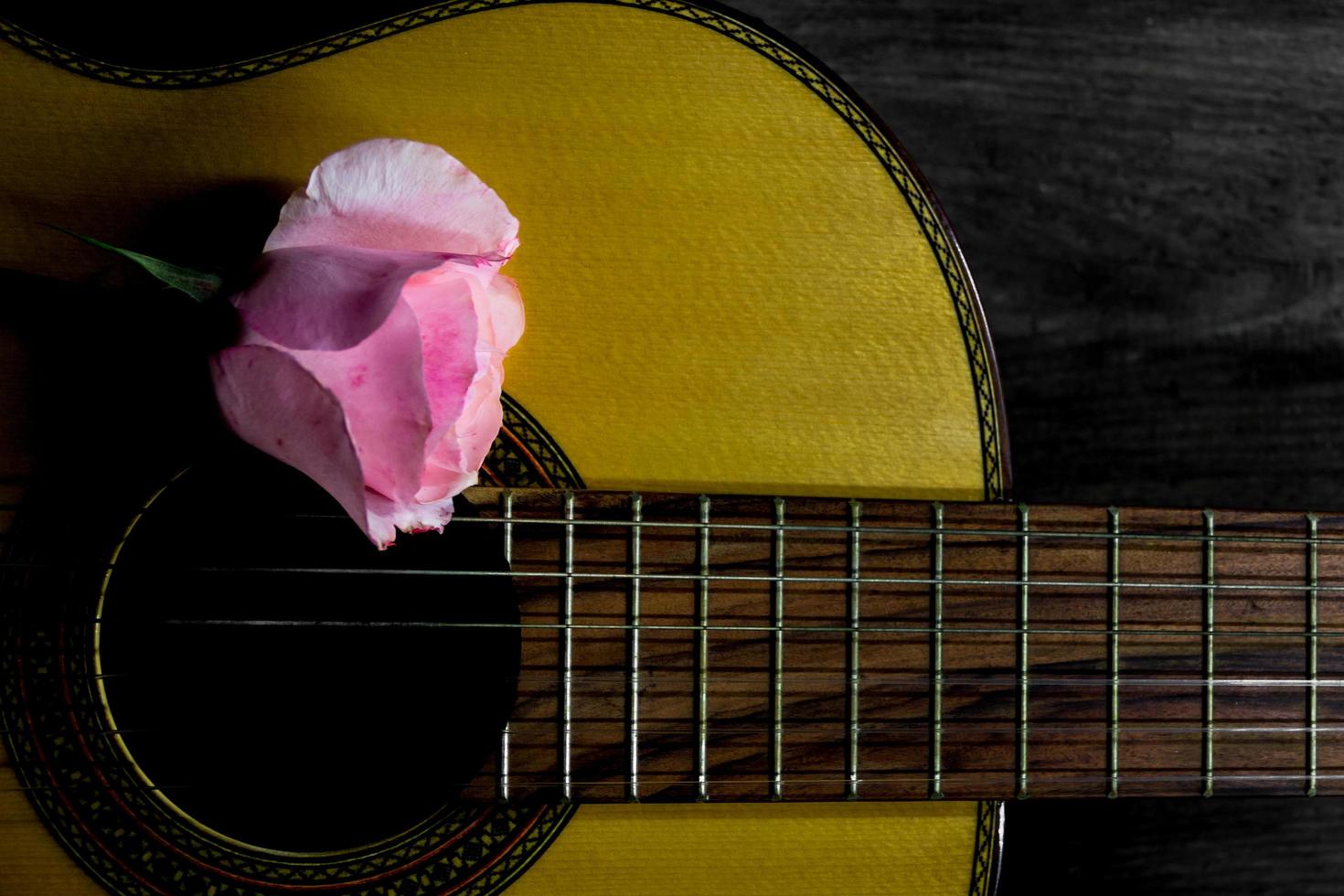 a pink bud on the guitar strings photo
