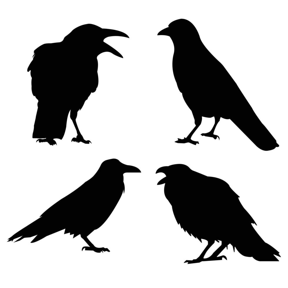 Collection of Crow and Raven Silhouette in different poses Free Vector