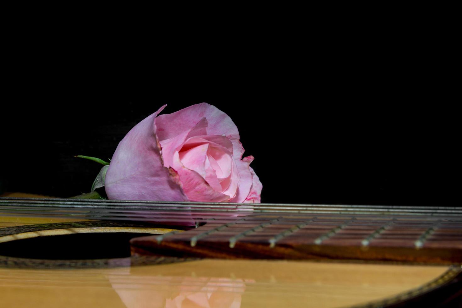 un capullo rosa en las cuerdas de la guitarra foto