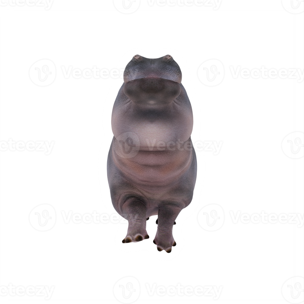 hippopotame 3d isolé png