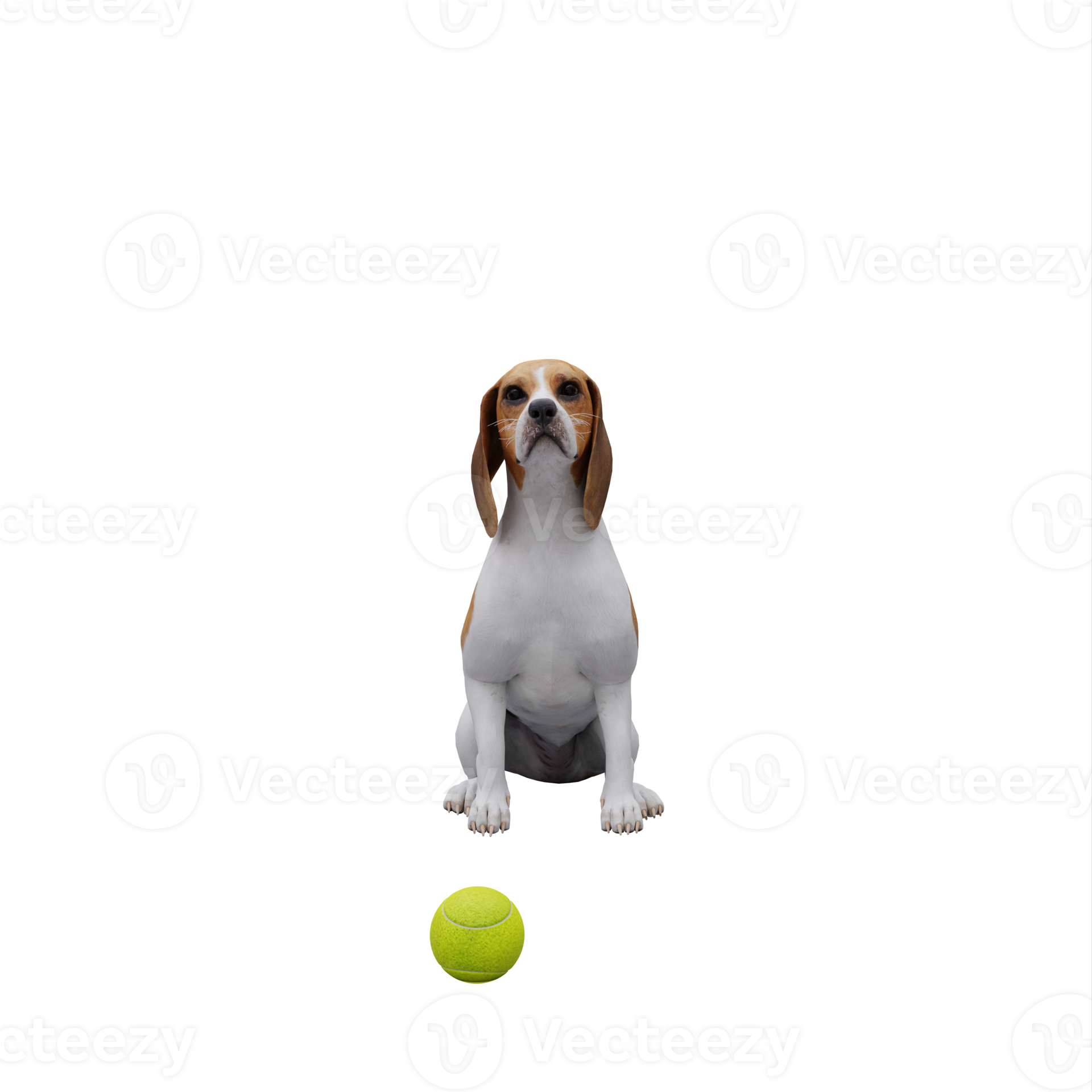 3d-cute-dog-play-with-ball-18732490-png