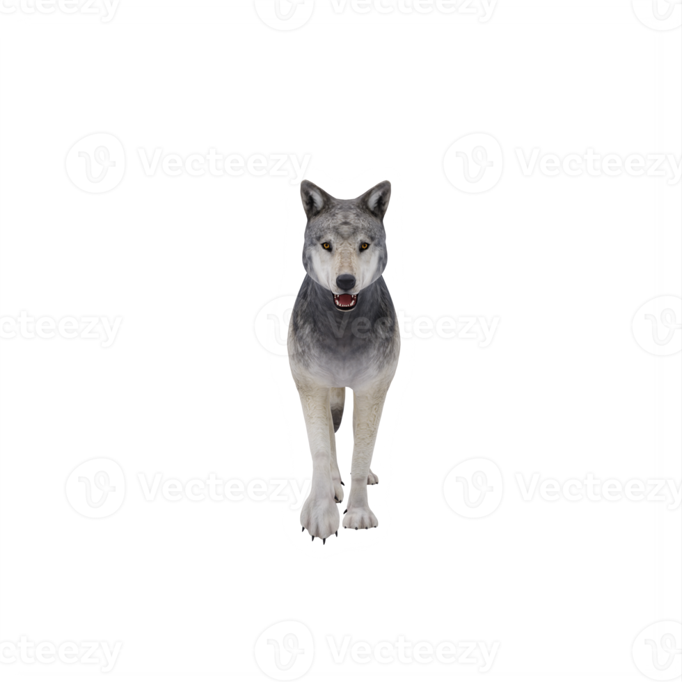 3D wilder Wolf isoliert png