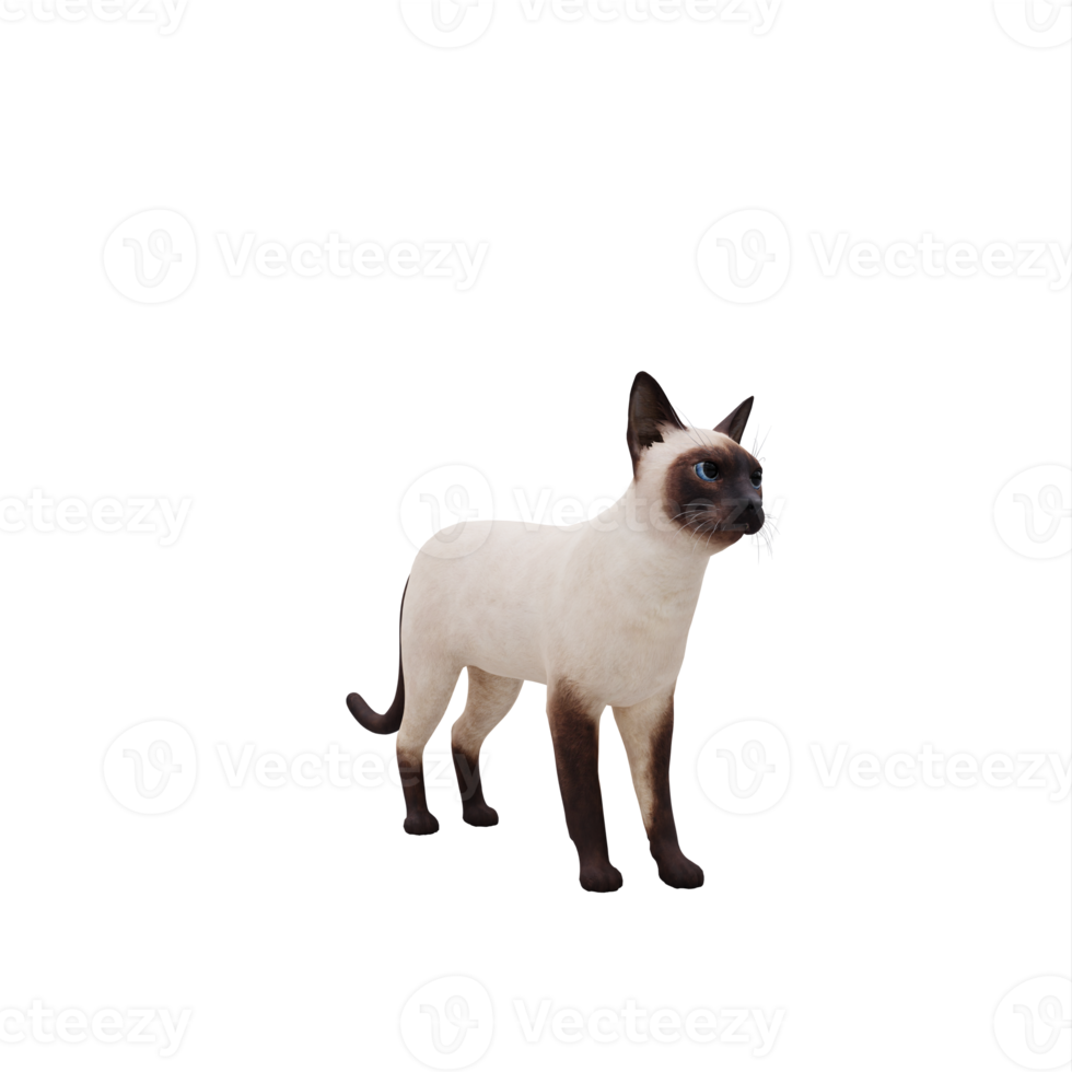 chat siamois 3d isolé png