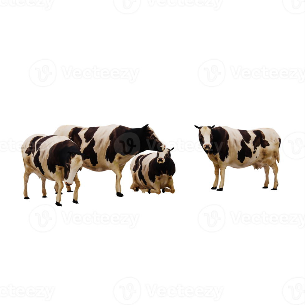 3d cows isolated png