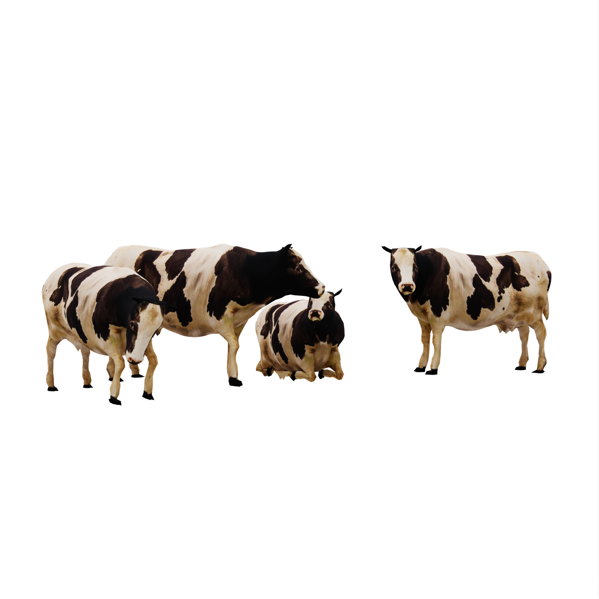 3d Cows Isolated 18732520 PNG 3d-cows-isolated-18732520-png
