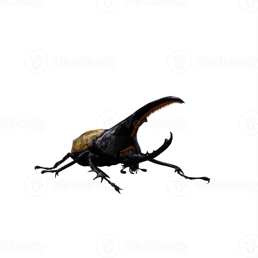 3d Dynastes Hercules png