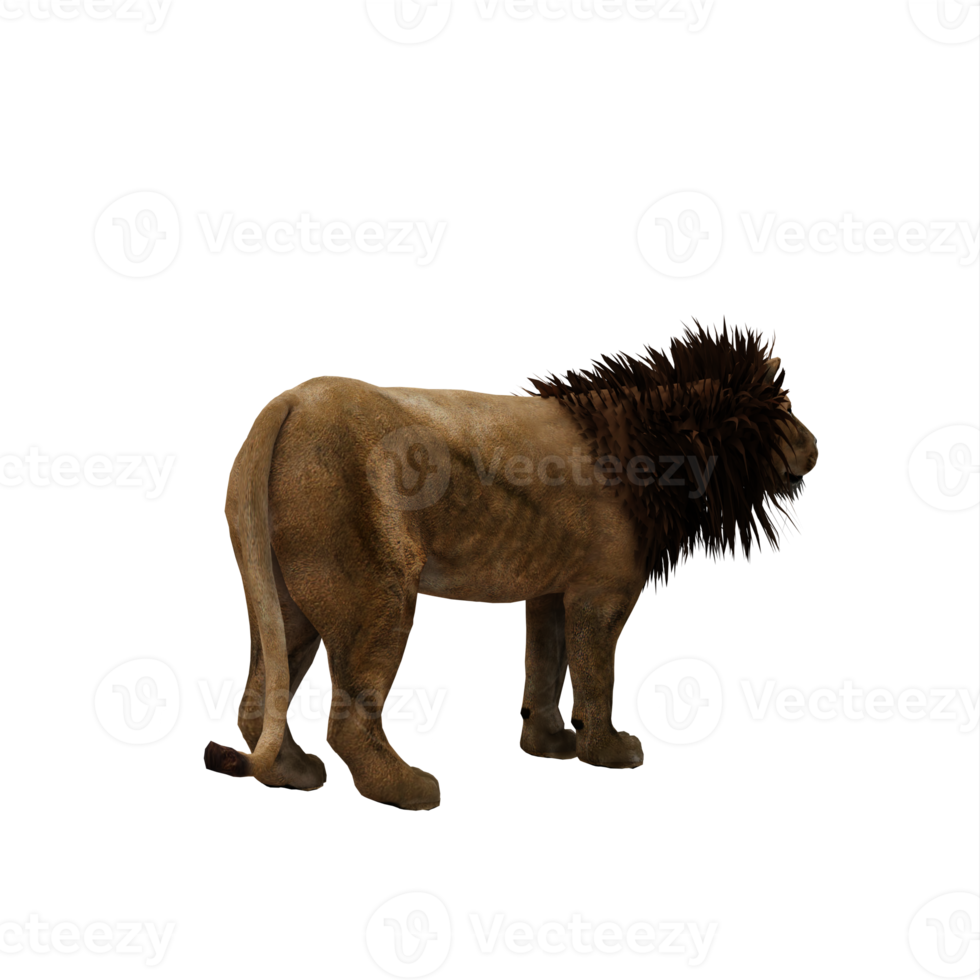 3d lion isolated png