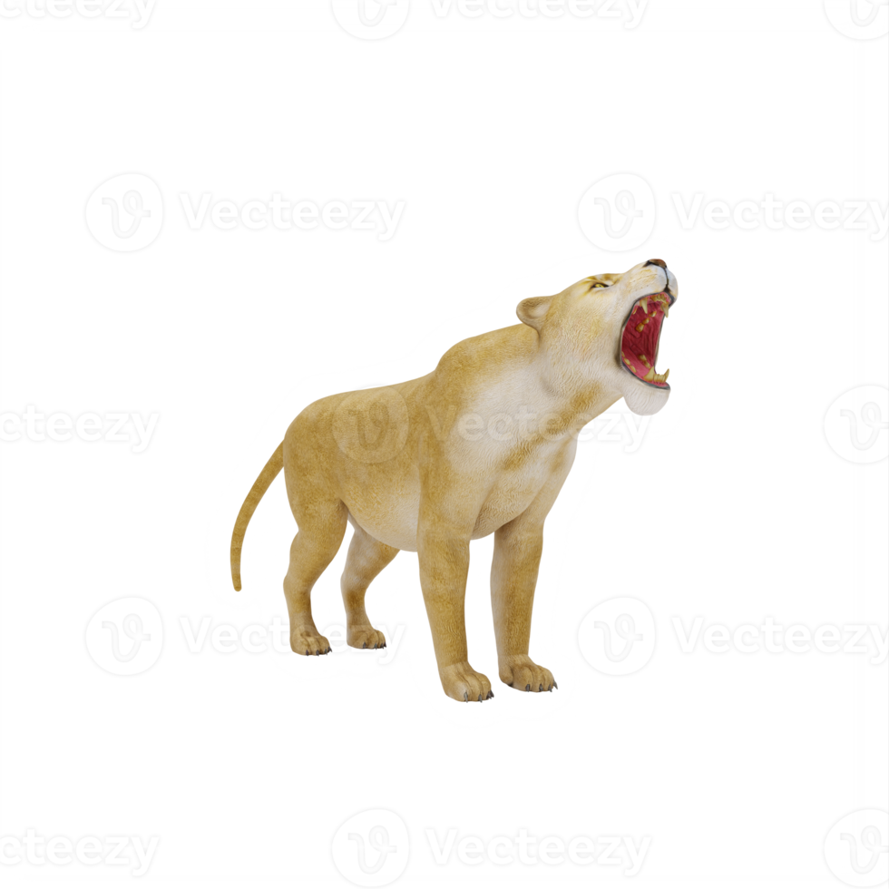 3d Lioness isolated png