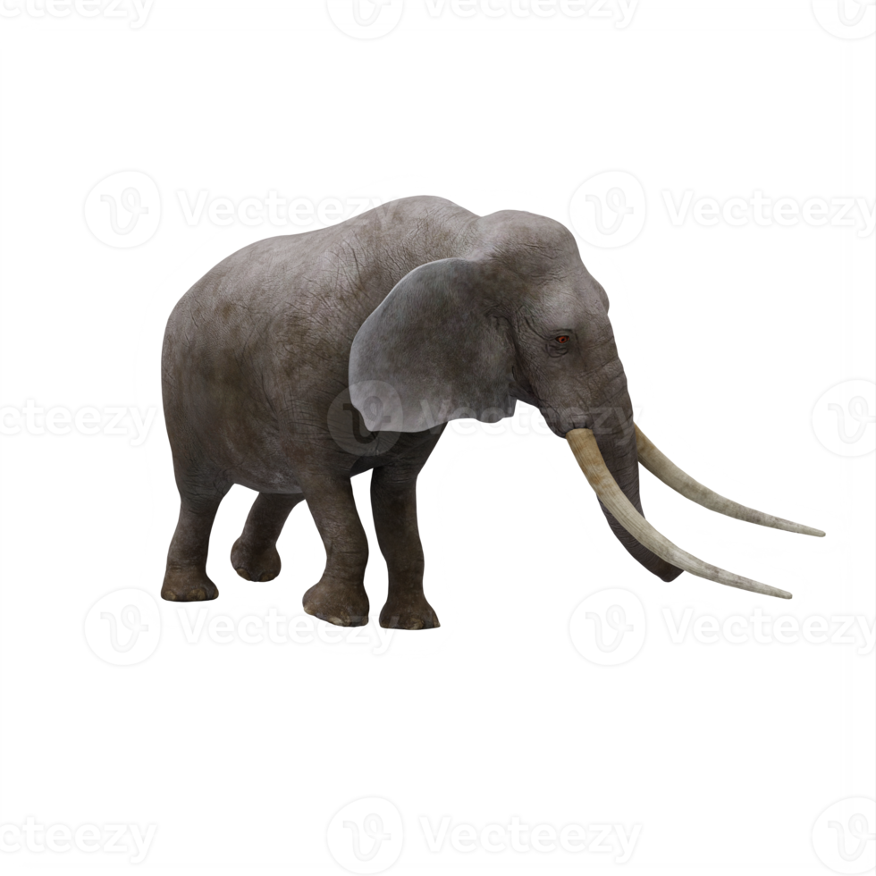 3d elefante isolato png