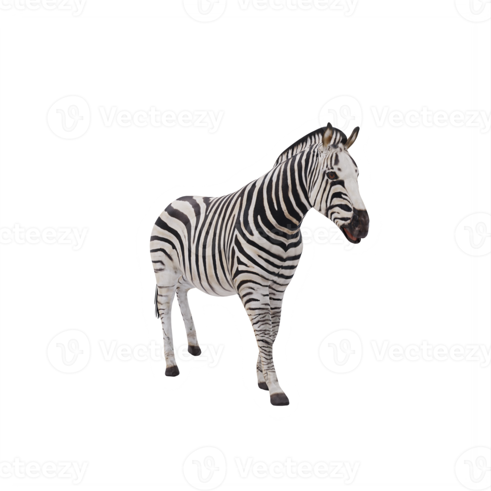 3d Afrikaanse zebra geïsoleerd png