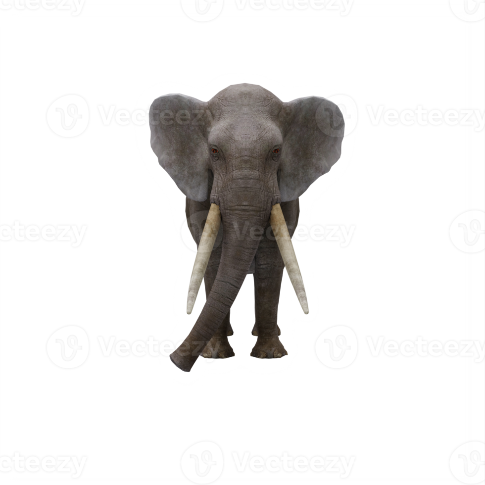 3d Elephant isolated png