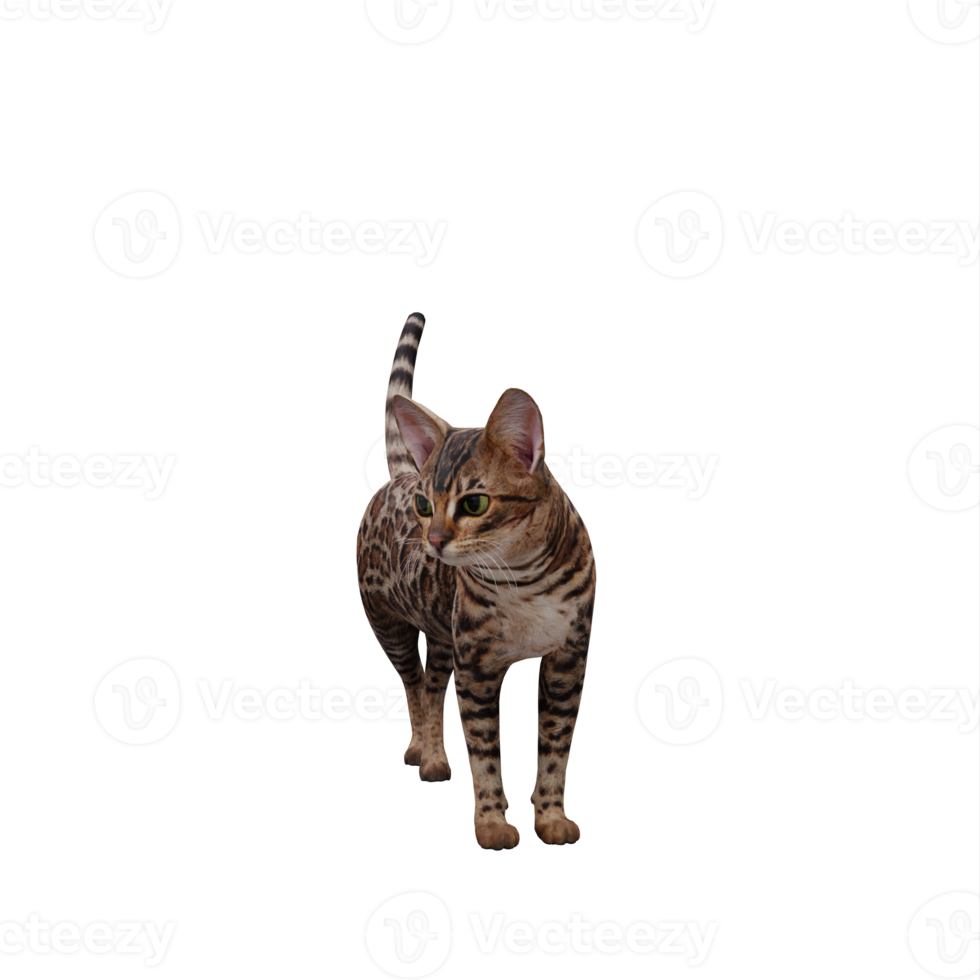 gato bonito 3d isolado png