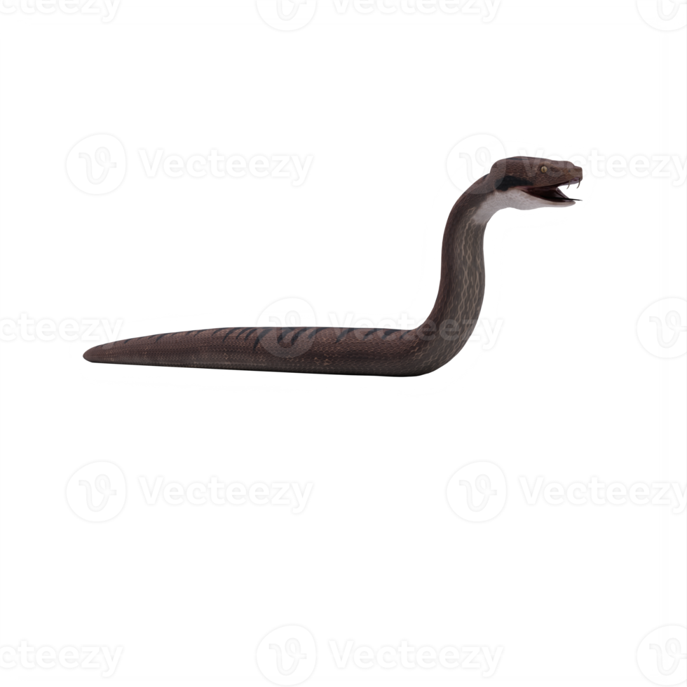 3d viper snake isolated png